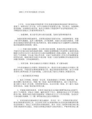 2009上半年市区划地名工作总结