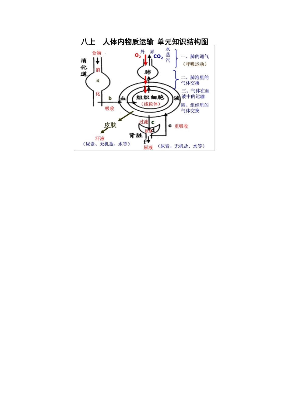 八上人体内物质运输单元知识结构图_第1页