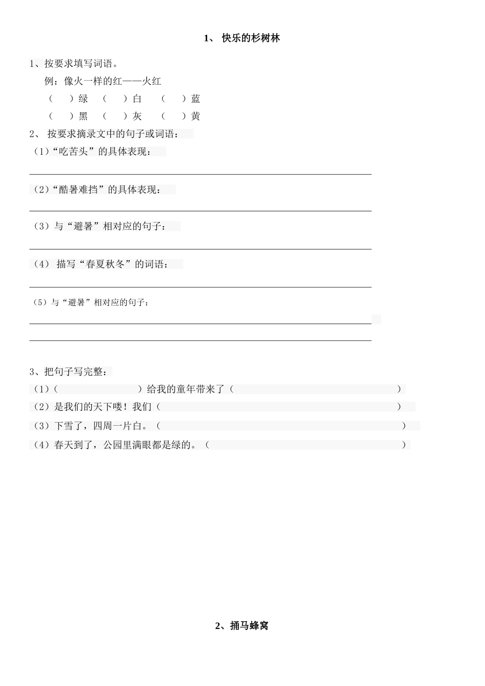 快乐的杉树林_第1页