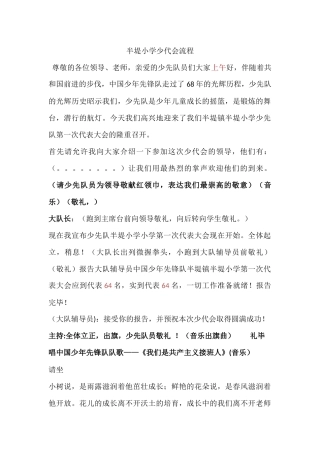 半堤小学少代会流程
