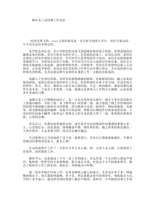 报社员工试用期工作总结
