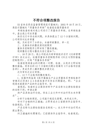 不符合项整改报告