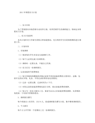 2011年寒假实习计划