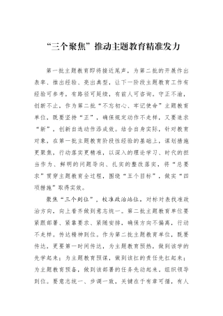 “三个聚焦”推动主题教育精准发力