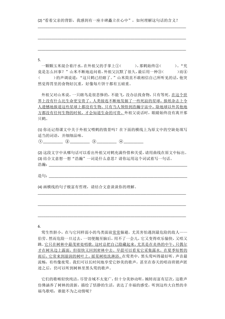 《山米与白鹤》同步练习（含答案）_第3页