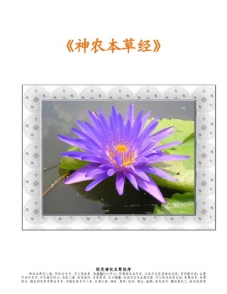 《神农本草经》