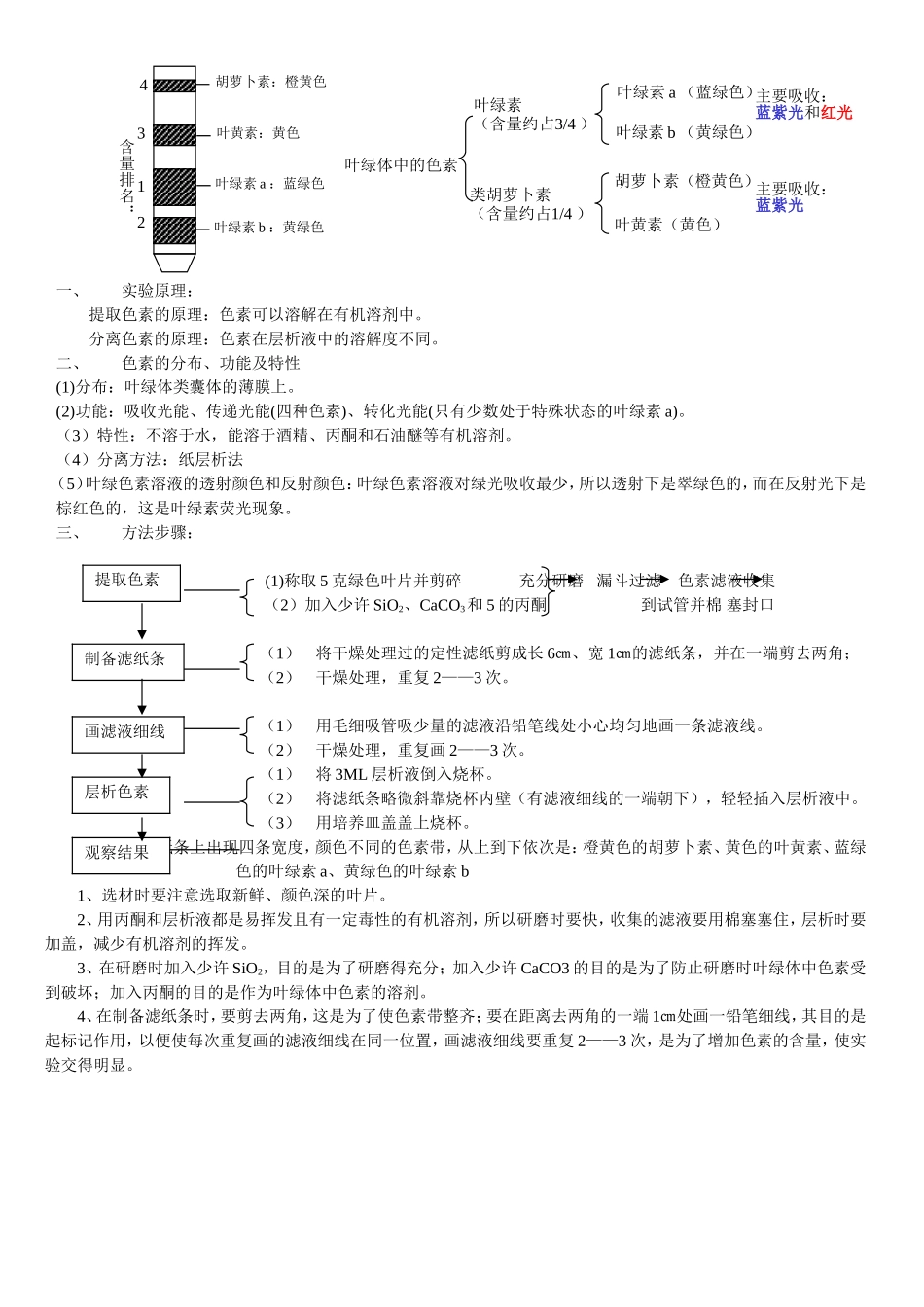 “呼吸作用、光合作用”重点知识整理_第3页