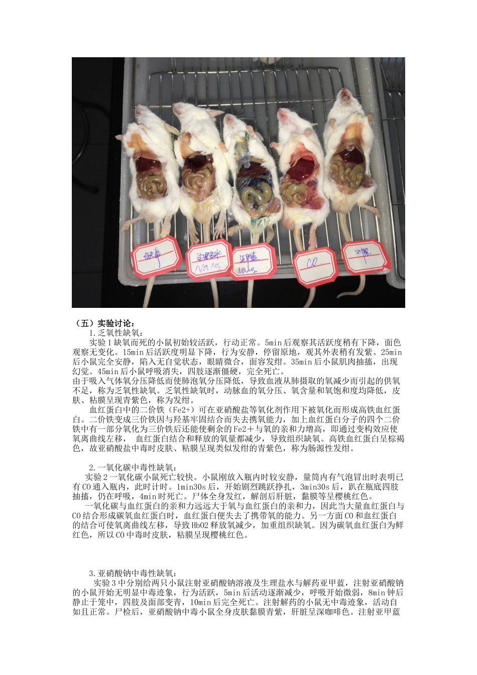 《实验性缺氧》实验手册_第2页