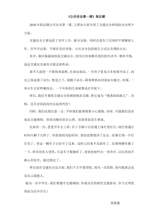 《公共安全第一课》观后感