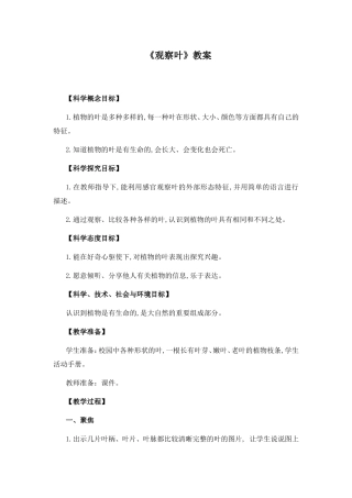 《观察叶》教案