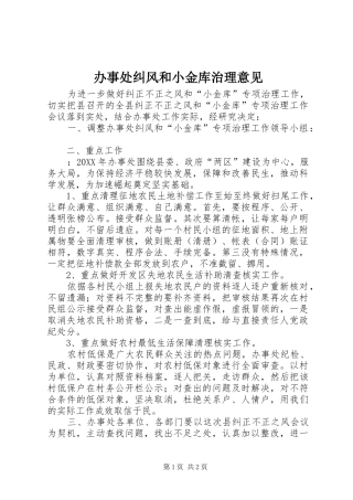 办事处纠风和小金库治理意见