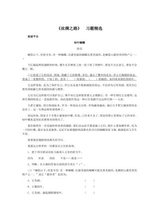 《丝绸之路》　习题精选