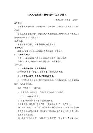 《老人与海鸥》教学设计（30分钟）