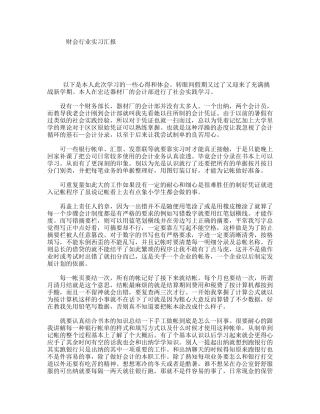 财会行业实习汇报