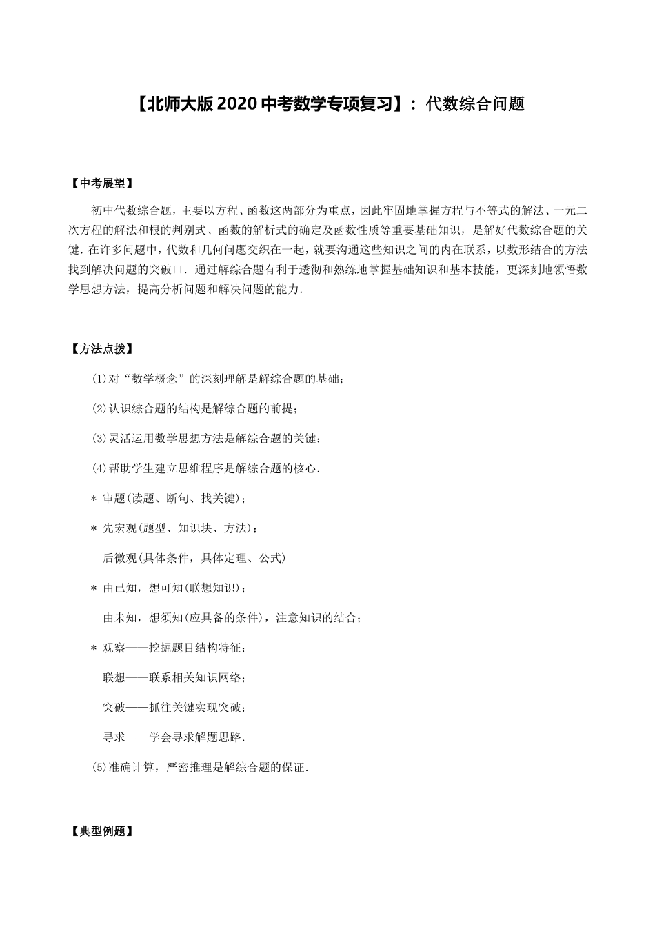 北师大版中考数学专项复习代数综合问题_第1页