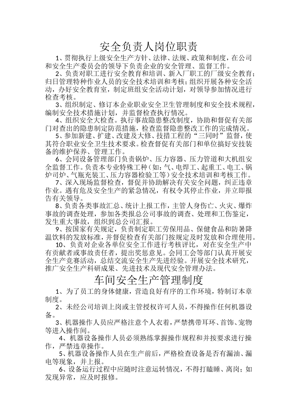 安全负责人岗位职责_第1页