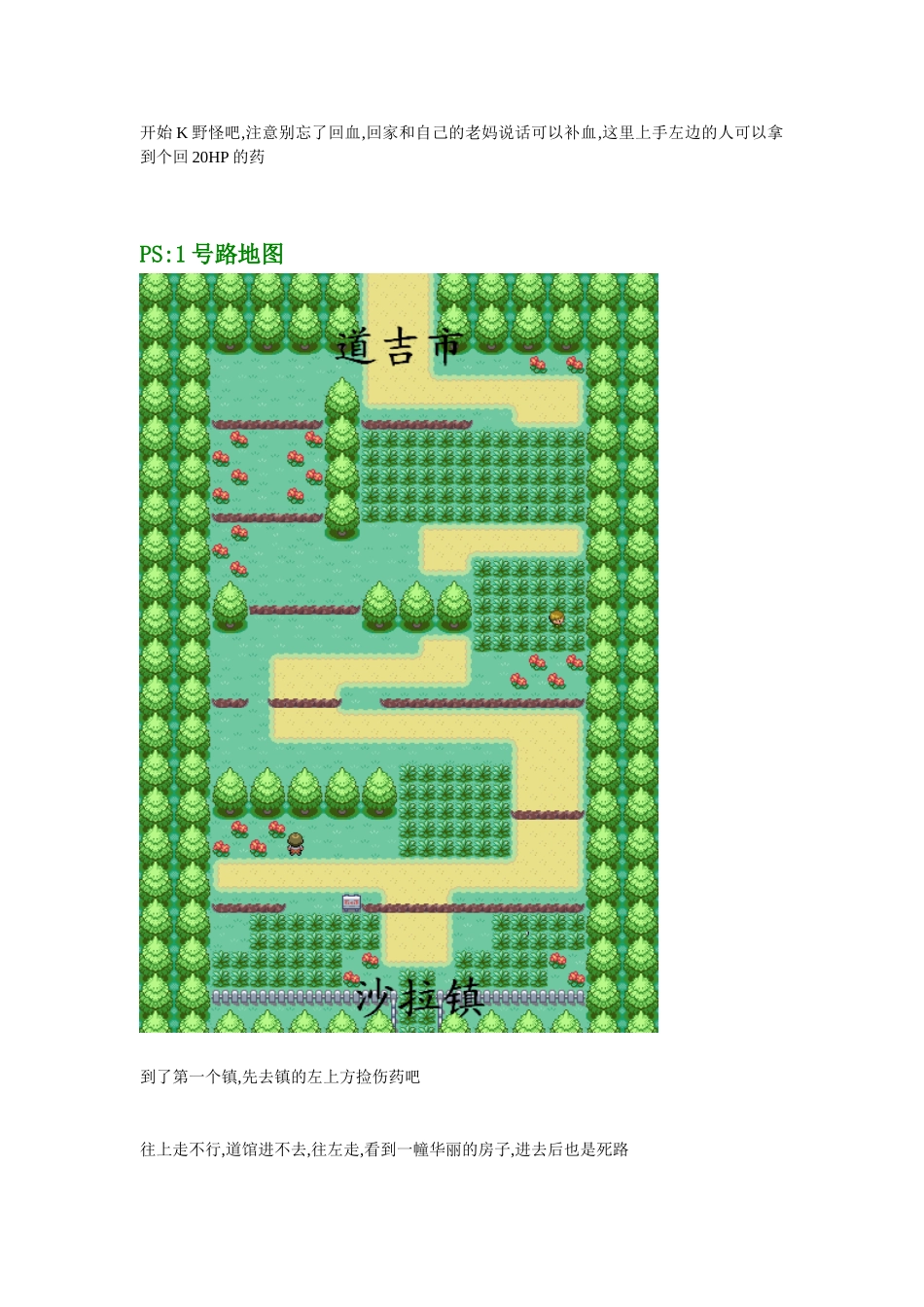 《口袋妖怪-火红&叶绿》完整图文攻略_第3页