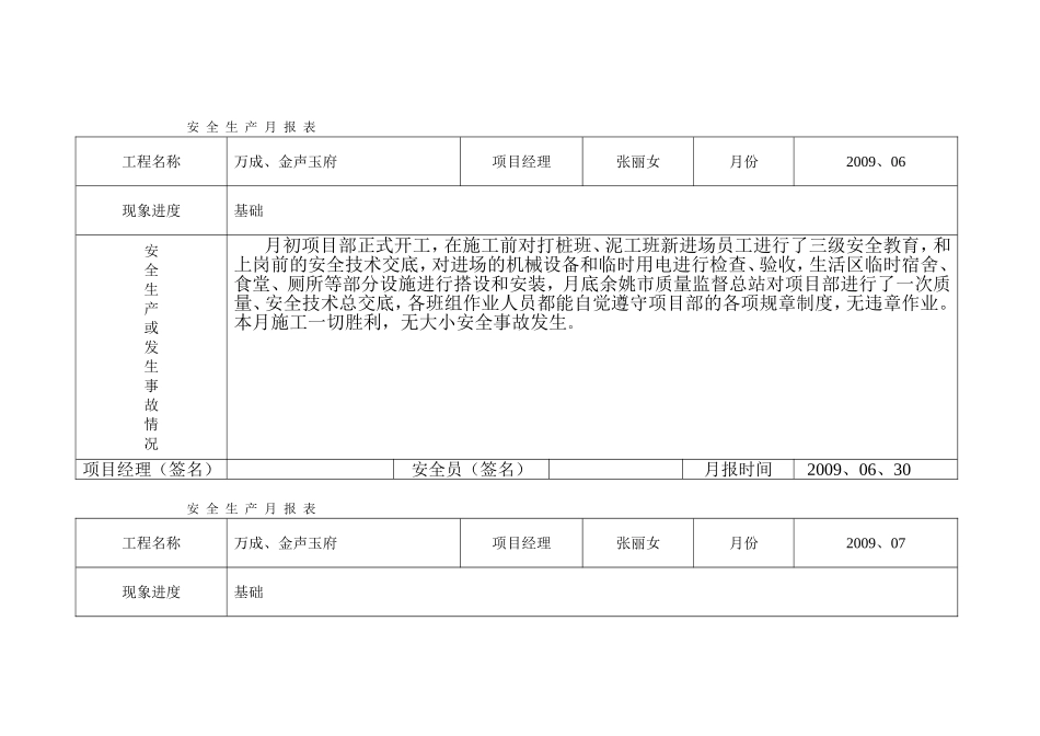 安全生产月报表_第1页