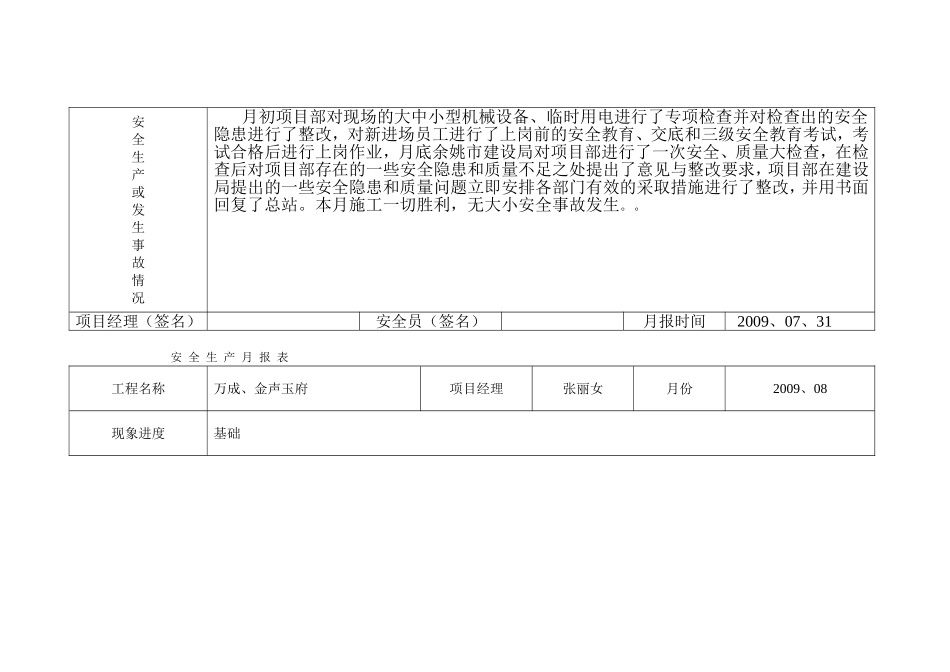 安全生产月报表_第2页