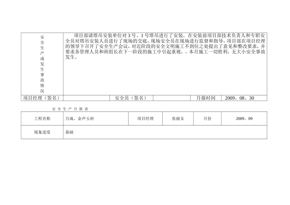 安全生产月报表_第3页