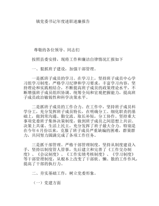 镇党委书记年度述职述廉报告