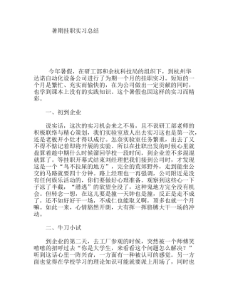 自动化设备公司暑期挂职实习总结