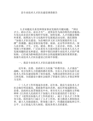 县专业技术人才队伍建设调查报告