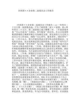 共青团××企业第二届委员会工作报告