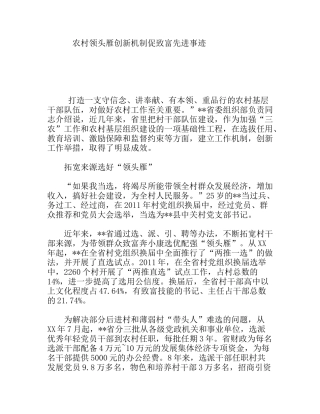 农村领头雁创新机制促致富先进事迹