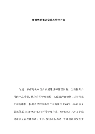 质量体系推进实施和管理方案
