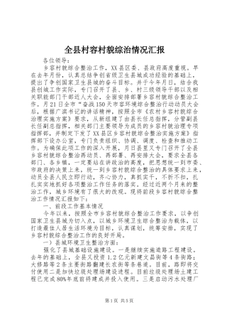 全县村容村貌综治情况汇报