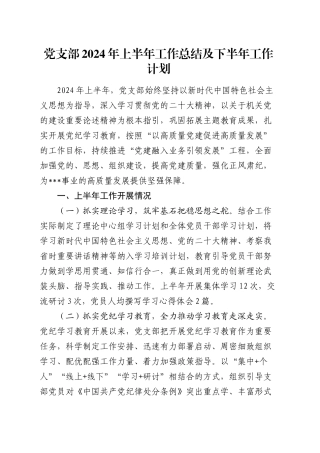 党支部2024年上半年工作总结2700字（党建总结报告汇报）