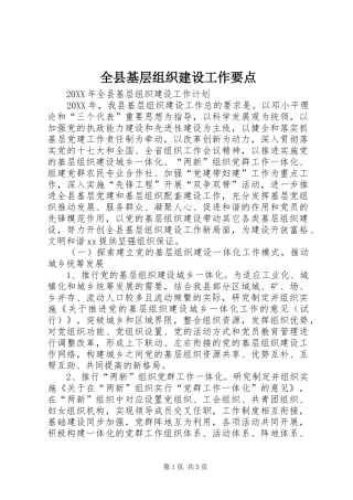 全县基层组织建设工作要点