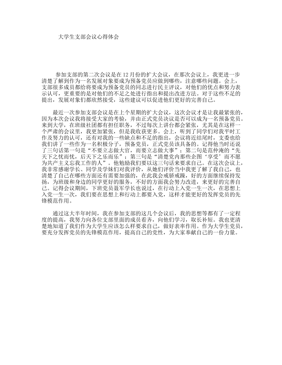大学生支部会议心得体会_第1页