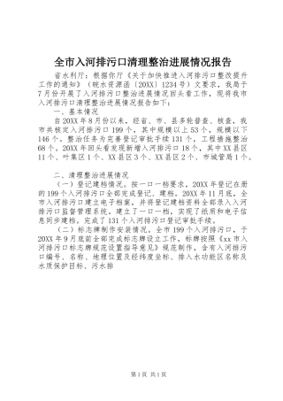 全市入河排污口清理整治进展情况报告