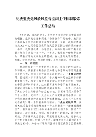 纪委监委党风政风监督室副主任挂职锻炼工作总结