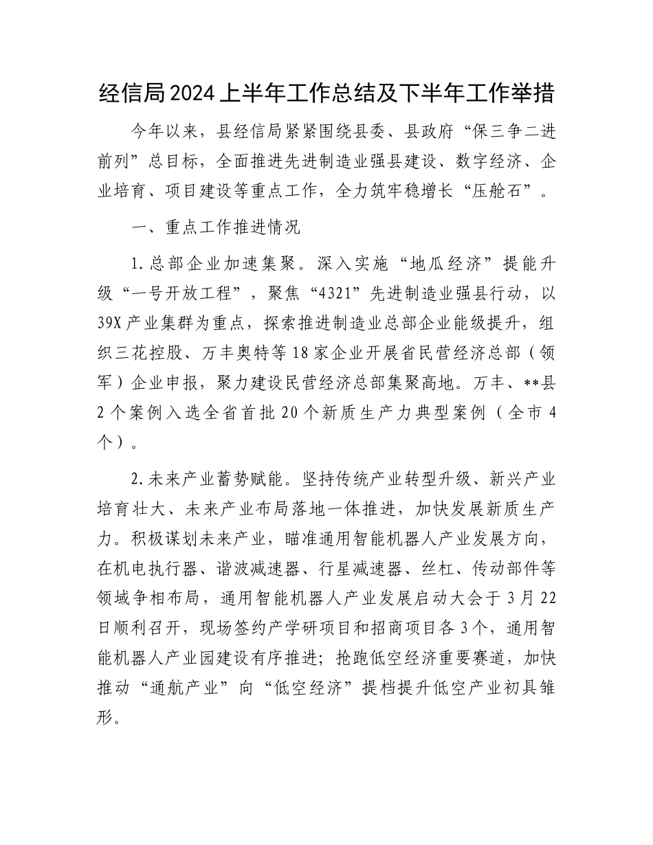 经信局2024上半年工作总结及下半年工作举措_第1页