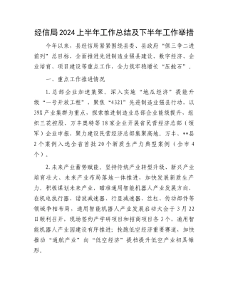 经信局2024上半年工作总结及下半年工作举措