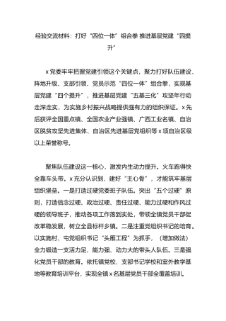 经验交流材料：打好“四位一体”组合拳 推进基层党建“四提升”