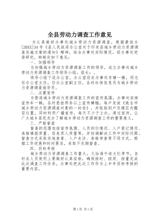 全县劳动力调查工作意见