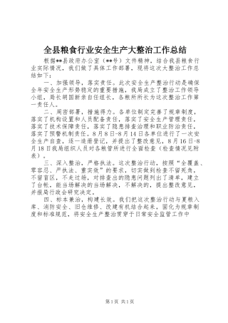 全县粮食行业安全生产大整治工作总结