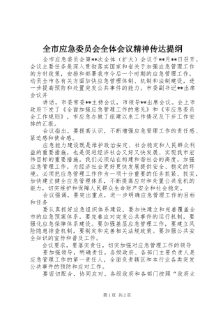 全市应急委员会全体会议精神传达提纲