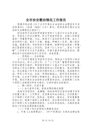 全市治安整治情况工作报告