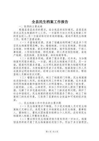 全县民生档案工作报告