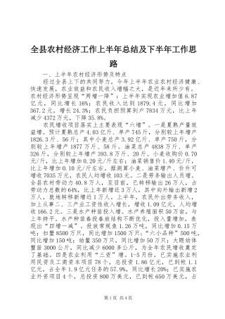 全县农村经济工作上半年总结及下半年工作思路
