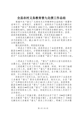 全县农村义务教育普九化债工作总结