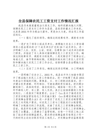 全县保障农民工工资支付工作情况汇报