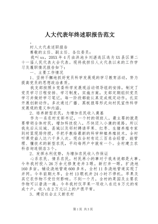 人大代表年终述职报告范文