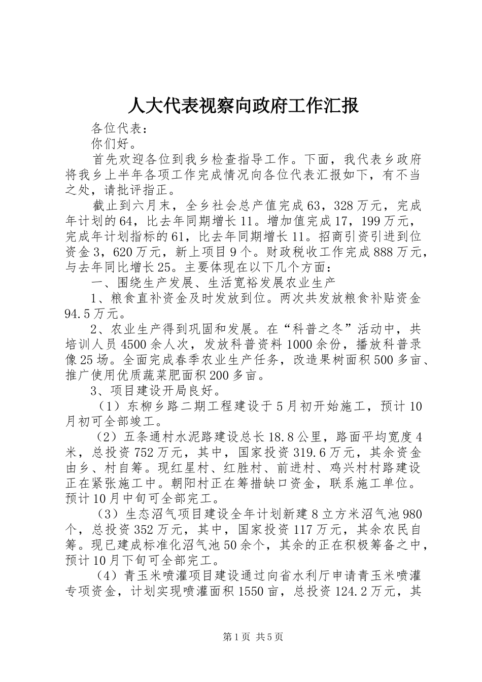 人大代表视察向政府工作汇报_第1页