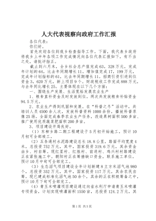 人大代表视察向政府工作汇报